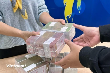 Ảnh minh họa. (Nguồn: Vietnam+)