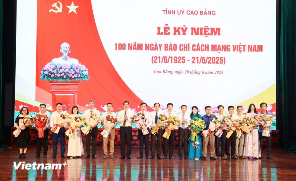 vnp-bao-chi.jpg