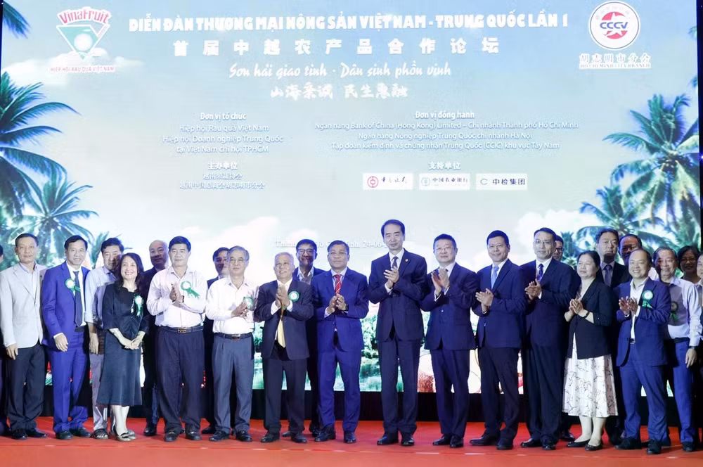 anh-dien-dan.jpg