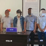 Các bị cáo tại phiên tòa. (Ảnh: Văn Dũng/TTXVN)
