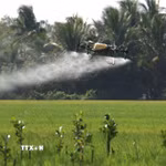 Nông nghiệp hiện đại được xác định là một trong những hướng hợp tác triển vọng trong thời gian tới. (Ảnh: Duy Khương/TTXVN)