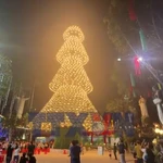 Chiêm ngưỡng cây thông làm từ 3.000 chiếc nón lá ở Đồng Nai 