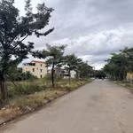 Dù hạ tầng kỹ thuật chưa được đầu tư đồng bộ nhưng đã có 78 lô đất tại Dự án đầu tư xây dựng hạ tầng kỹ thuật tạo quỹ đất ở tại Tổ dân phố 10, phường Đồng Thuận, tỉnh Quảng Trị) được đưa ra đấu giá, trong đó 66 lô đấu giá thành công. (Ảnh: Thanh Thủy/TTXVN)