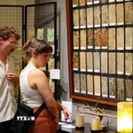 Du khách tham quan tịa 