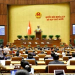 Quốc hội biểu quyết thông qua Nghị quyết về kết quả giám sát chuyên đề “Việc thực hiện chính sách, pháp luật về bảo vệ môi trường kể từ khi Luật Bảo vệ môi trường năm 2020 có hiệu lực thi hành”. (Ảnh: Doãn Tấn/TTXVN)