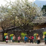 Vẻ đẹp của vùng Cao nguyên đá Đồng Văn. (Ảnh: Khánh Hòa/TTXVN)