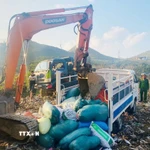 Lực lượng chức năng tiến hành tiêu hủy số nội tạng động vật không rõ nguồn gốc, xuất xứ. (Ảnh: TTXVN phát)