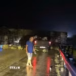 Hiện trường vụ lật xe khiến 5 người bị thương. (Ảnh: TTXVN phát)