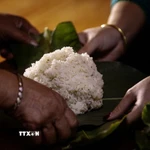 Xôi sau khi chín được quạt nguội rồi gói thành những gói nhỏ vuông vức bằng lá dong. (Ảnh: Trọng Đạt/ TTXVN)