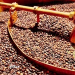 Ảnh minh họa. (Nguồn: Hồng Điệp/TTXVN)