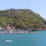 Một góc đảo Hòn Chuối (tỉnh Cà Mau). (Ảnh: Chanh Đa/TTXVN)