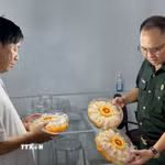 Ông Nguyễn Duy Long giới thiệu sản phẩm yến sào Kim Oanh. (Ảnh: Thanh Bình/TTXVN)