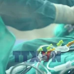 200.000 người Việt tử vong mỗi năm liên quan đến tim mạch