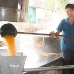 Một mẻ mật mía trải qua khoảng thời gian nấu từ 3 đến 4 giờ. Trong đó, hơn nửa thời gian mật mía mới sủi tăm và sôi. Khi mật mía sôi, người nấu phải luôn tay vớt bọt và tạp chất nổi lên trong các chảo nấu để đảm bảo mật mía có chất lượng, màu sắc đẹp. (Ảnh: Xuân Tiến/TTXVN)