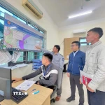 Toàn bộ dữ liệu tàu cá ra vào cảng cá Lạch Bạng được tích hợp, chia sẻ liên thông giữa hệ thống quản lý của Bộ Quốc phòng và hệ thống cơ sở dữ liệu thủy sản quốc gia (VNFishbase). (Ảnh: Hoa Mai/TTXVN)