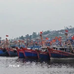 Một khu neo đậu tàu thuyền tại cảng cá. (Ảnh: Hoa Mai/TTXVN)