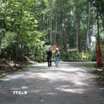 Đường dẫn vào các di tích ở Chiến khu Đ, tỉnh Đồng Nai. (Ảnh: Công Phong/TTXVN)