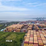 Hệ thống cảng hiện hữu trên sông Thị Vải-Cái Mép và một phần đất trống sau cảng quy hoạch làm Khu thương mại tự do Cái Mép Hạ nhìn thẳng ra vịnh Gành Rái. (Ảnh: Đoàn Mạnh Dương/TTXVN)