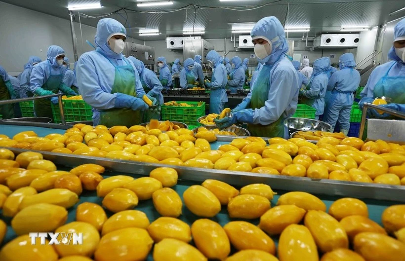 Xung đột Trung Đông kéo dài: Nguy cơ xuất khẩu nông sản Việt giảm 8 tỷ USD