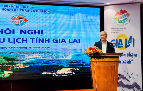 Gia Lai: Đa trải nghiệm, một hành trình cùng Năm Du lịch Quốc gia 2026- Ảnh 3.