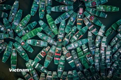 Những chiếc đò chèo tay chở khách chờ ở bến Tràng An, Ninh Bình. (Ảnh: Vương Công Nam/Vietnam+)