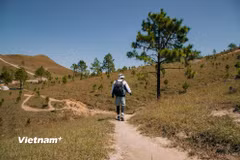Du lịch cá nhân đang trở thành xu hướng. (Ảnh minh họa: Vương Công Nam/Vietnam+)