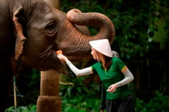 Lương Linh trong thử thách dọn chuồng voi và capybara tại Thảo Cầm Viên. (Ảnh: CTV/Vietnam+)