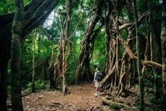 Tour du lịch mạo hiểm sẽ cần đảm bảo tuân thủ bộ tiêu chuẩn quốc gia. (Ảnh minh họa: Vương Công Nam/Vietnam+)