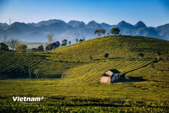 Du lịch Việt có nhiều cơ hội phát triển mới từ liên kết các vùng nguồn tài nguyên văn hóa bản địa. (Ảnh minh họa: Vương Công Nam/Vietnam+)