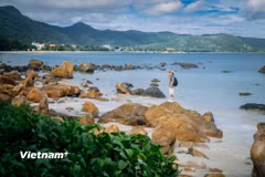 Đặc khu Côn Đảo. (Nguồn: Vietnam+)