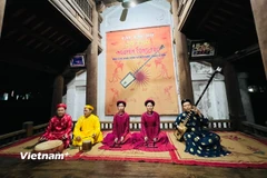 Ảnh minh họa. (Nguồn: TTXVN)