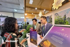 Các doanh nghiệp "tái cấu trúc" sản phẩm nhằm giữ chân khách hàng. (Ảnh minh họa: Xuân Mai/Vietnam+)