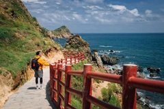 Kỳ Co Eo Gió là thiên đường biển đảo rực rỡ thuộc địa phận phường Quy Nhơn Đông, tỉnh Gia Lai (trước thuộc xã Nhơn Lý, thành phố Quy Nhơn, Bình Định cũ). (Ảnh: Vương Công Nam/Vietnam+)