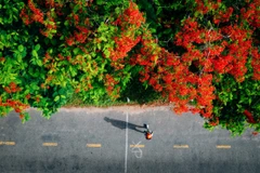 Các đơn vị lữ hành cho biết xu hướng nghỉ lễ 30/4 du khách ưu tiên các điểm đến gần. (Ảnh minh họa: Vương Nam/Vietnam+)