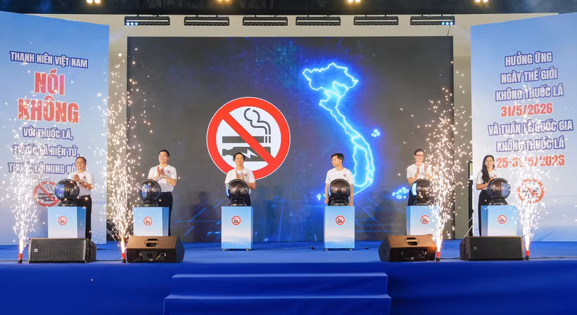Các đại biểu thực hiện nghi thức khởi động chương trình. (Ảnh: PV/Vietnam+)