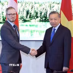 Tổng Bí thư, Chủ tịch nước Tô Lâm tiếp Tổng Bí thư Đảng Cộng sản Canada Drew Garvie. (Ảnh: Thống Nhất/TTXVN)