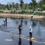 Người dân đổ xô đi câu bắt cá tại Hồ điều hòa Hồ Sơn bất chấp cảnh báo cấm của chính quyền. (Ảnh: Tường Quân/TTXVN)
