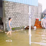 Tình trạng ngập lụt gây khó khăn trong sinh hoạt, sản xuất hàng ngày của người dân. (Ảnh: Xuân Tiến/TTXVN)