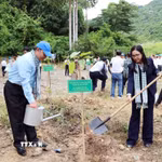 Lãnh đạo HUFO trồng cây tại "Vườn cây hữu nghị" của Đặc khu Côn Đảo. (Ảnh: Xuân Khu/TTXVN)