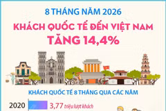 8 tháng của năm 2026: Khách quốc tế đến Việt Nam tăng 14,4%