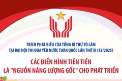 Các điển hình tiên tiến là "nguồn năng lượng gốc" cho phát triển