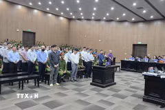Các bị cáo tại phiên tòa. (Ảnh: Kim Anh/TTXVN)