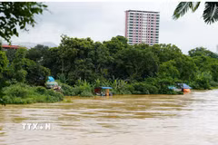 Nước sông Cầu tại khu vực Gia Bảy, trung tâm tỉnh Thái Nguyên sáng 10/7/2026. (Ảnh minh họa: Hoàng Nguyên/TTXVN)