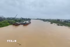 Mưa lớn khiến mực nước trên sông Thương, Bắc Ninh tăng cao. (Ảnh: Thanh Thương/TTXVN)