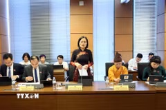 Đại biểu Quốc hội thành phố Quảng Ninh Trần Thị Kim Nhung phát biểu thảo luận ở tổ về dự án Luật Bưu chính (sửa đổi). (Ảnh: An Đăng/TTXVN)