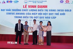 Trao Giải thưởng Chất lượng điều trị Vàng của Tổ chức Đột quỵ Thế giới cho Bệnh viện Đột quỵ và Thần kinh Hà Nội-Thái Bình. (Ảnh: Nguyễn Công Hải/TTXVN)