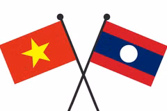 Ảnh minh họa. (Nguồn: Vietnam+)