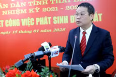Tân Chủ tịch Ủy ban Nhân dân tỉnh Thái Bình Nguyễn Mạnh Hùng phát biểu nhận nhiệm vụ. (Ảnh: Thế Duyệt/TTXVN)