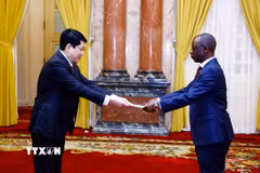 Chủ tịch nước Lương Cường nhận Quốc thư từ Đại sứ Cộng hoà Burundi Telesphone Irambonao. (Ảnh: Lâm Khánh/TTXVN)