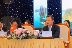 Phó Chủ tịch Ủy ban Nhân dân tỉnh Quảng Ninh Cao Tường Huy phát biểu khai mạc. (Ảnh: Văn Đức/TTXVN)